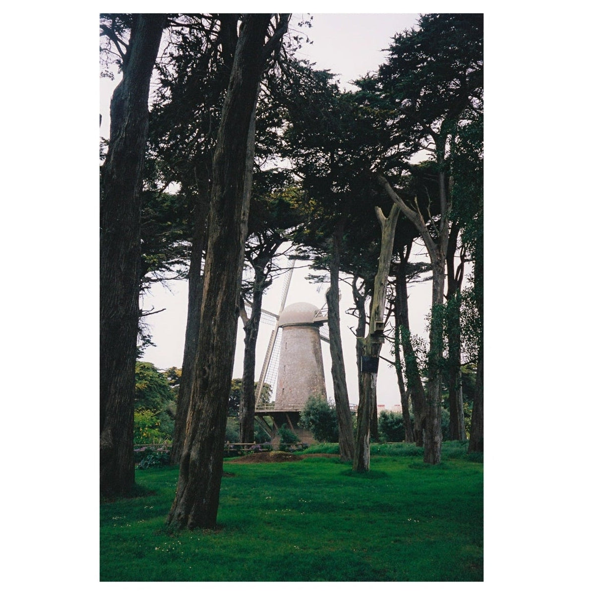 Windmill surrounded by trees in a park-like setting