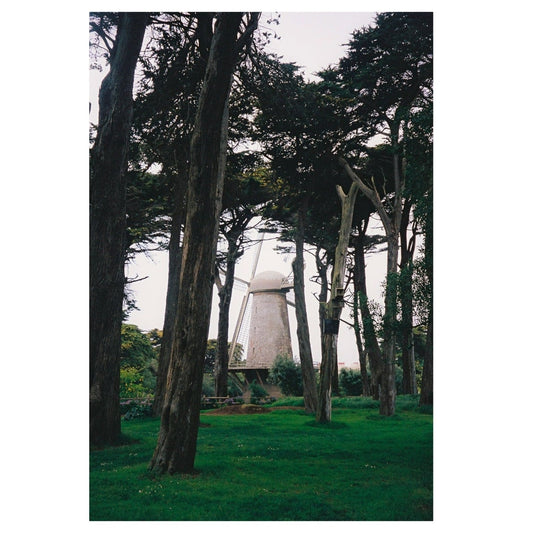 Windmill surrounded by trees in a park-like setting