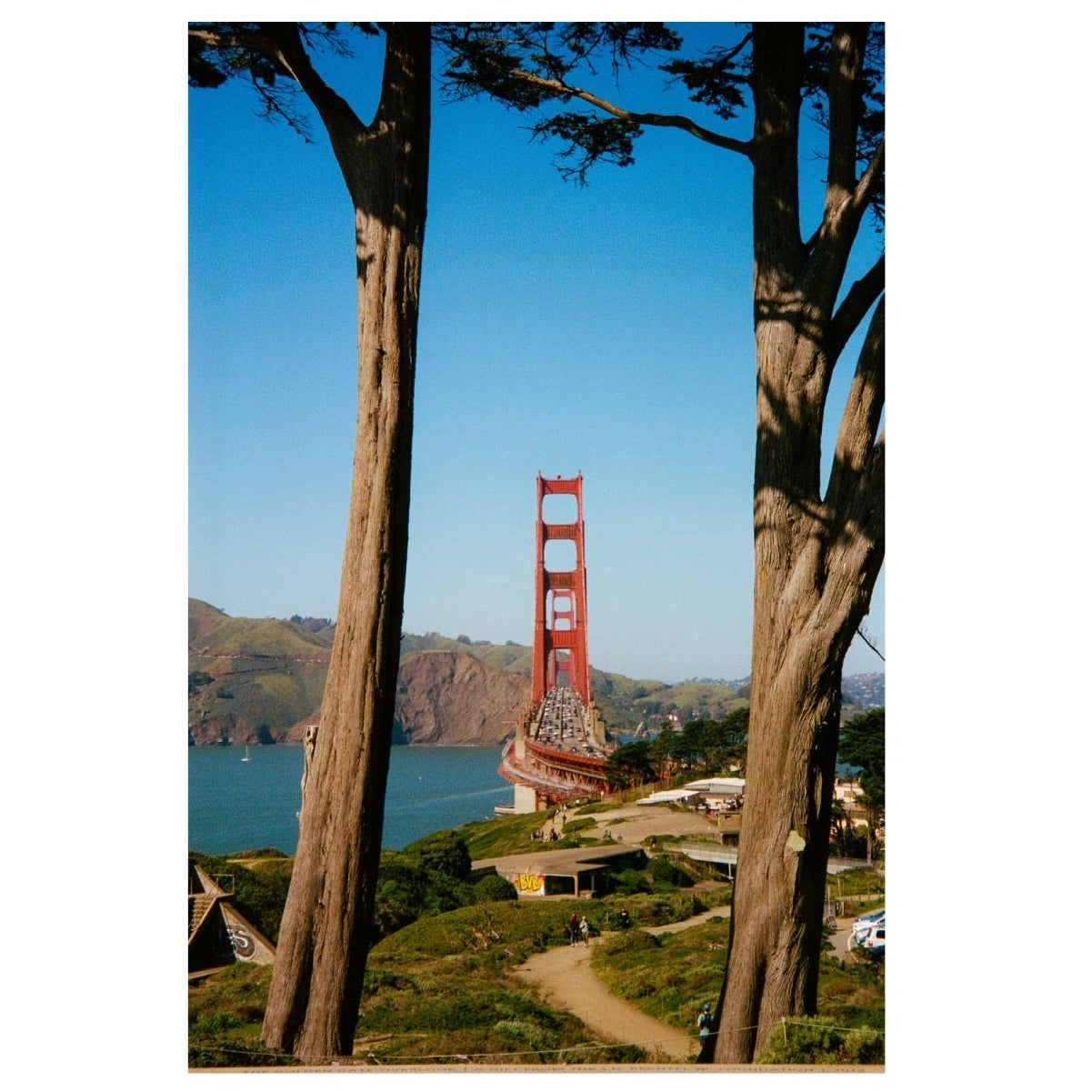 View of the Golden Gate Bridge through trees with a clear blue sky.